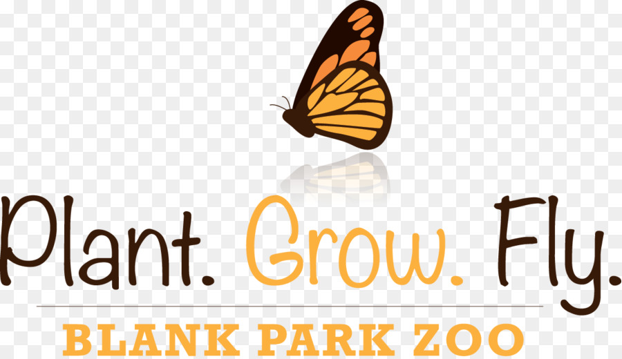 пустой парк，бабочка монарх PNG