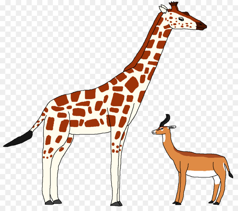 жираф，Восточно африканский Лев PNG