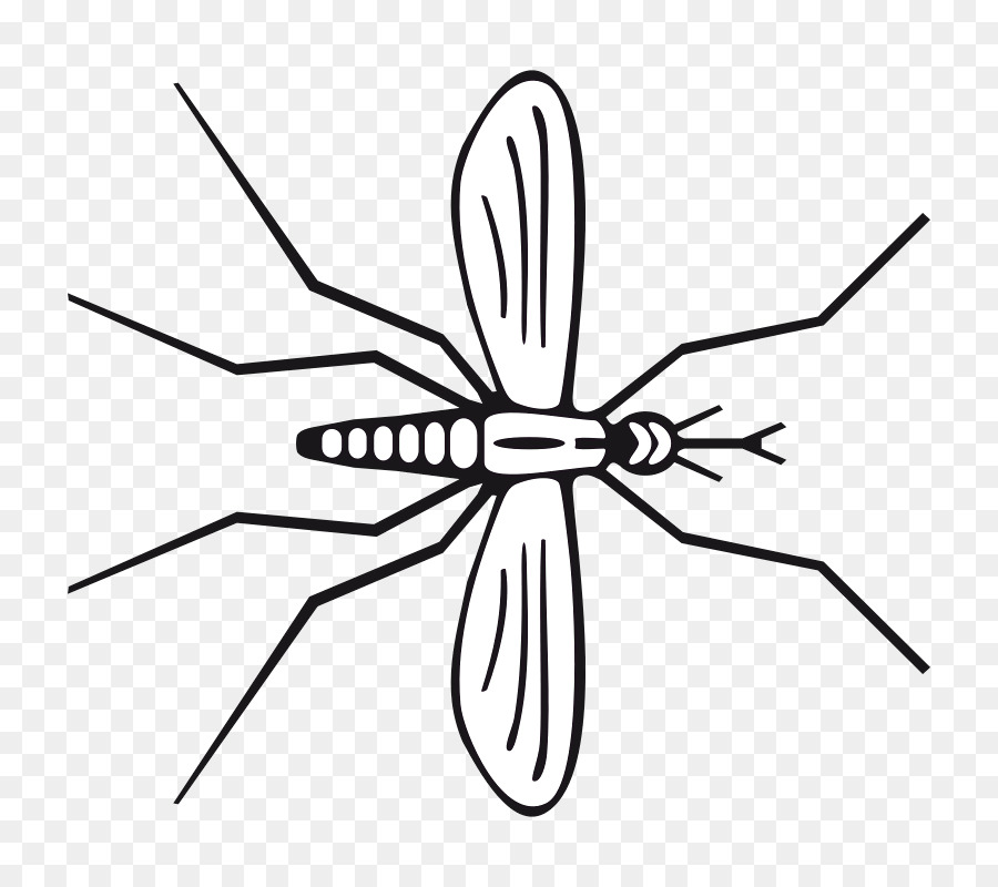 москитная，насекомое PNG