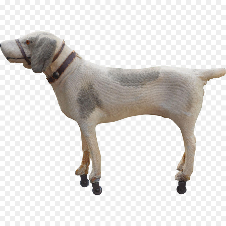 собака породы，американский фоксхаунд PNG