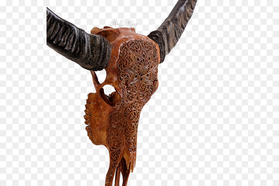 Рог，крупный рогатый скот PNG
