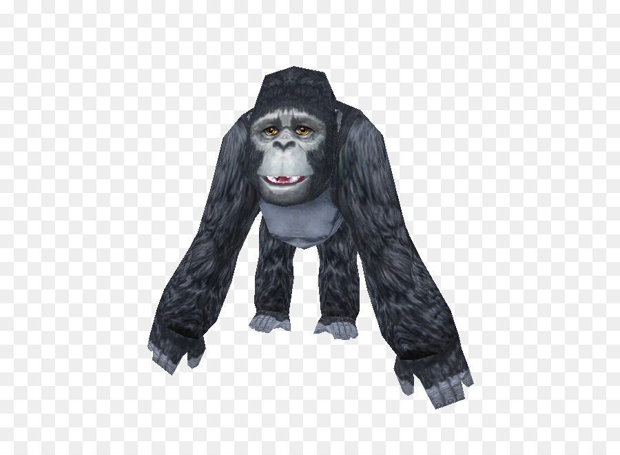 горилла，верхняя одежда PNG