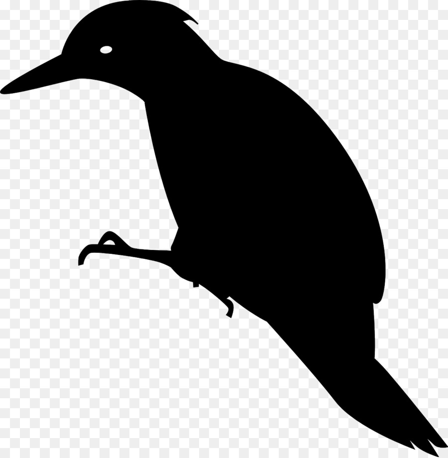 дятел，птица PNG