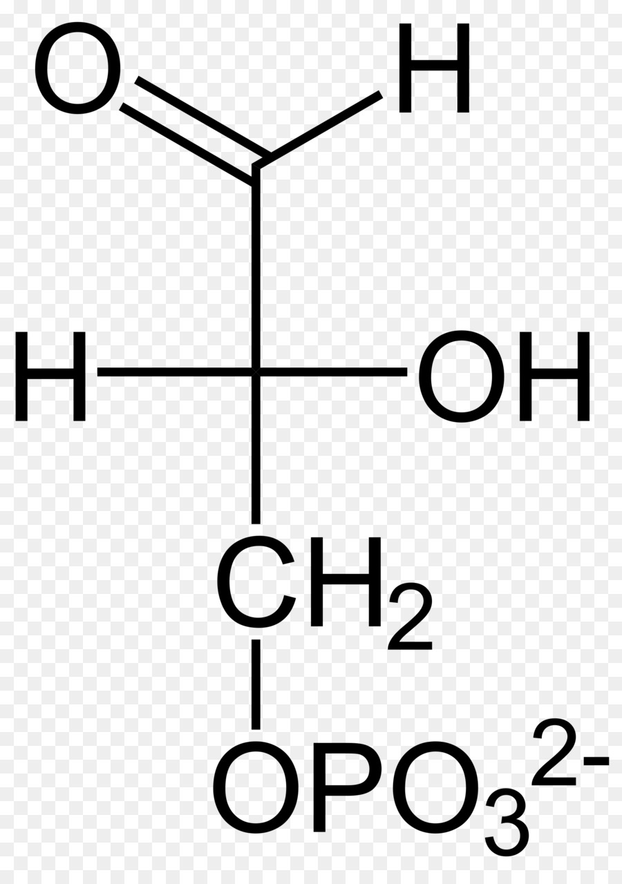 пировиноградная кислота，химия PNG