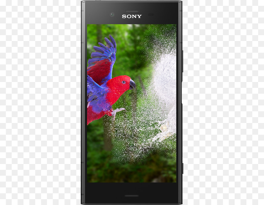 Sony Xperia Xz，Sony Xperia Compact Xz1 PNG