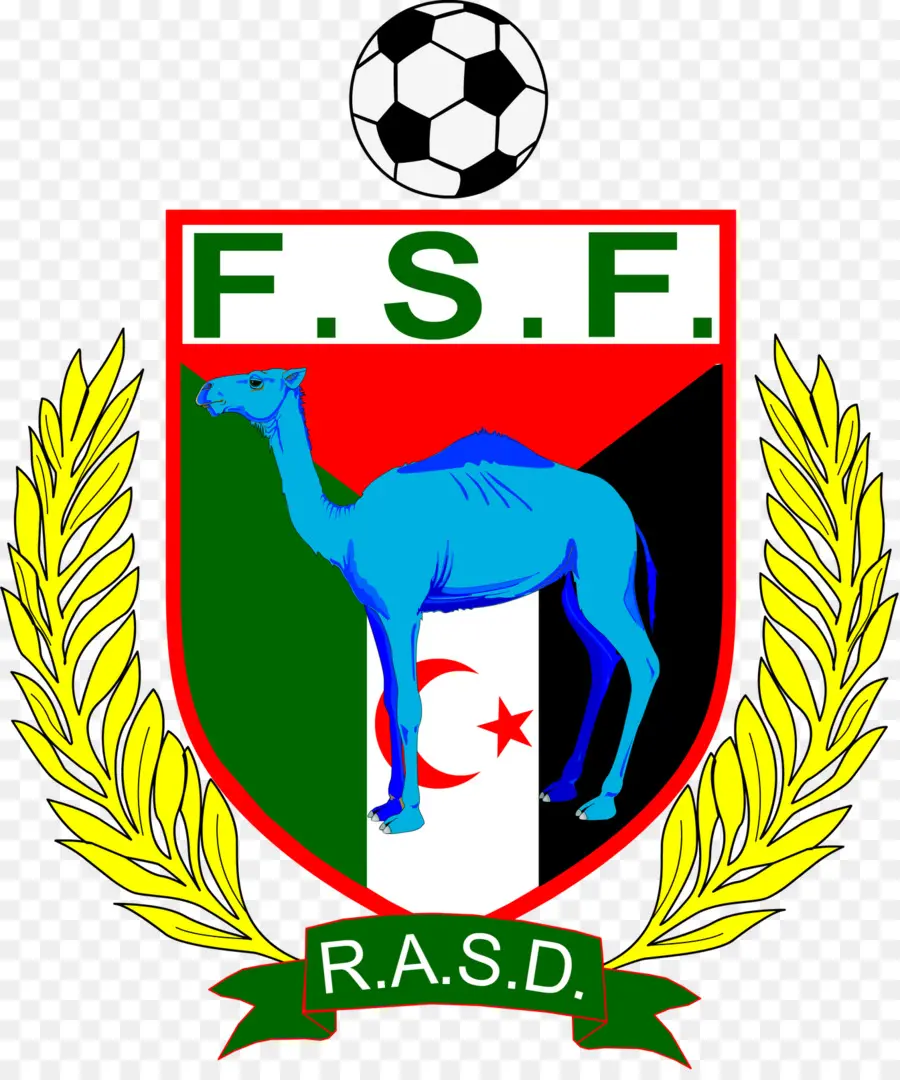 национальная футбольная команда сахрави，сахарская арабская Демократическая Республика PNG