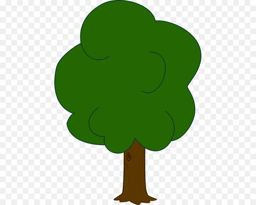 рисовать деревья，дуб PNG