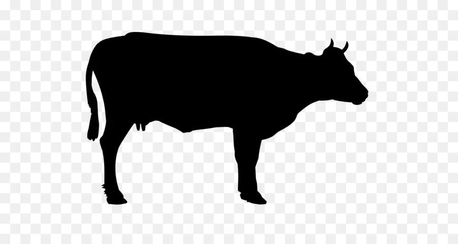 голштино фризской породы крупного рогатого скота，Ангус крупного рогатого скота PNG