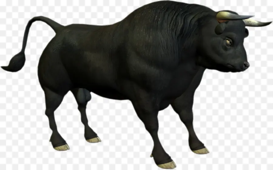 Ангус крупного рогатого скота，бык PNG