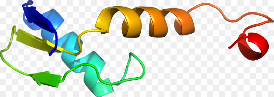 Белковая спираль，Молекула PNG