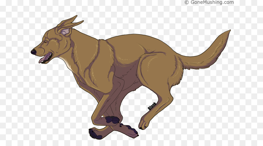собака，крупный рогатый скот PNG