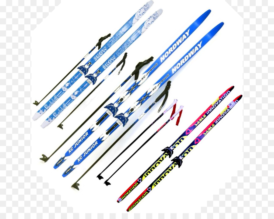 Сноуборды лыжи и палки перевозятся. Лыжи и палки Фишер. Лыжи STC New line Sport. Горные лыжи Fischer спорт беговые. Лыжи Nordway Active XC 205см.