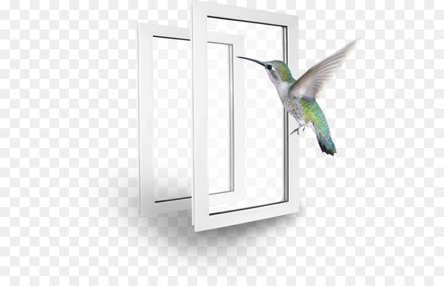 Windows bird. Птицы окно клипарт. Нарисовать птичку на окне. Птицы за окном на прозрачном фоне футаж. Картинки на окна птицы.