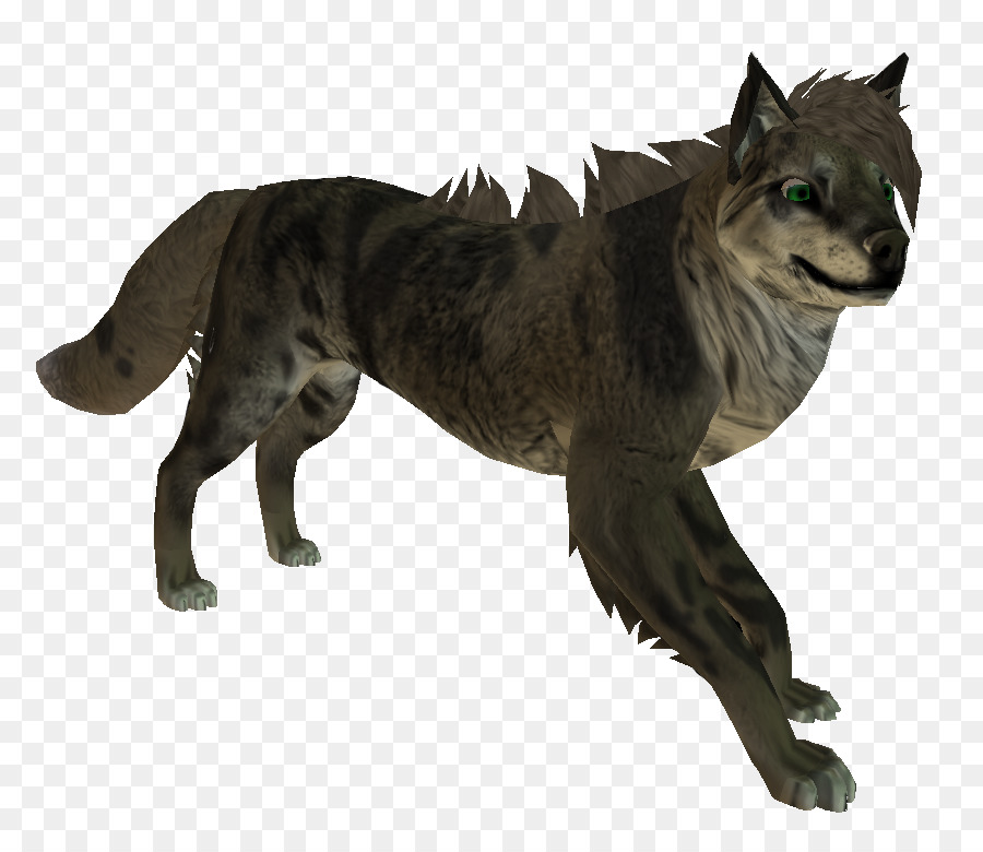 серый волк，кошка PNG