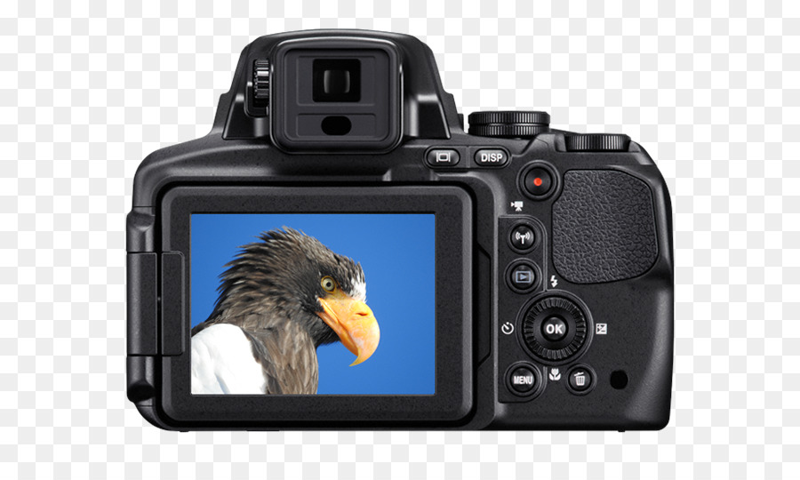 камеры，Pointandshoot камеры PNG