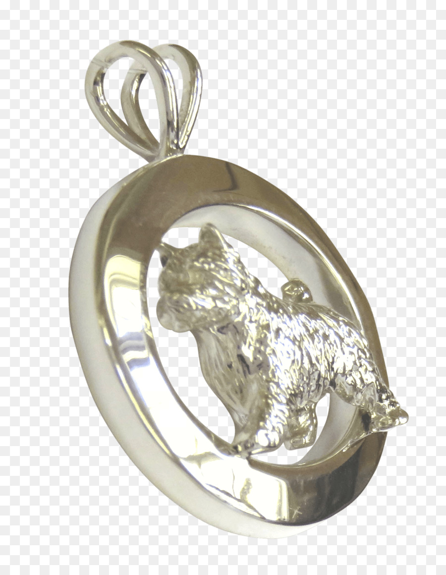 медальон，серебро PNG