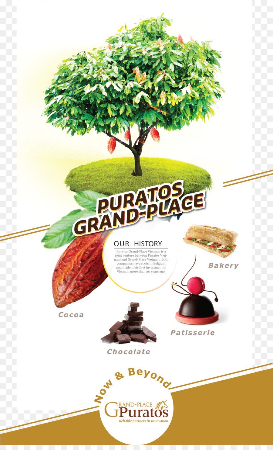 Grandplace Вьетнам церковь Máy Puratos，Центральный хлебопекарни PNG