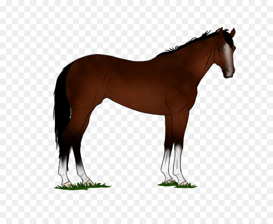 американские четверть лошадь，роан PNG