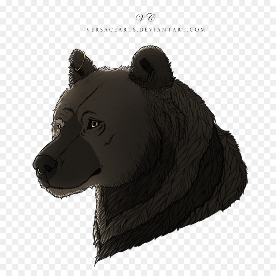 медведь，мех PNG
