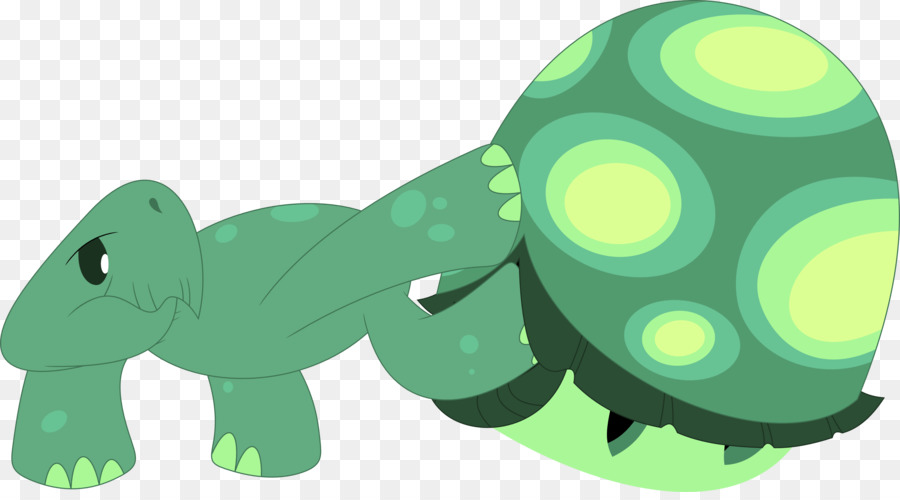 черепаха，лягушка PNG