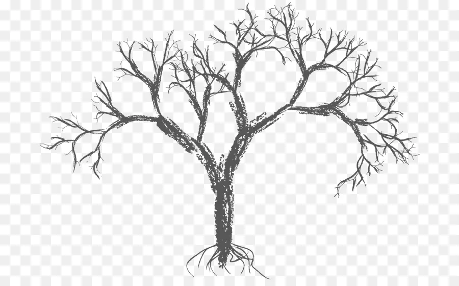 рисунок，дерево PNG