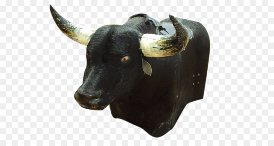 бык，крупный рогатый скот PNG