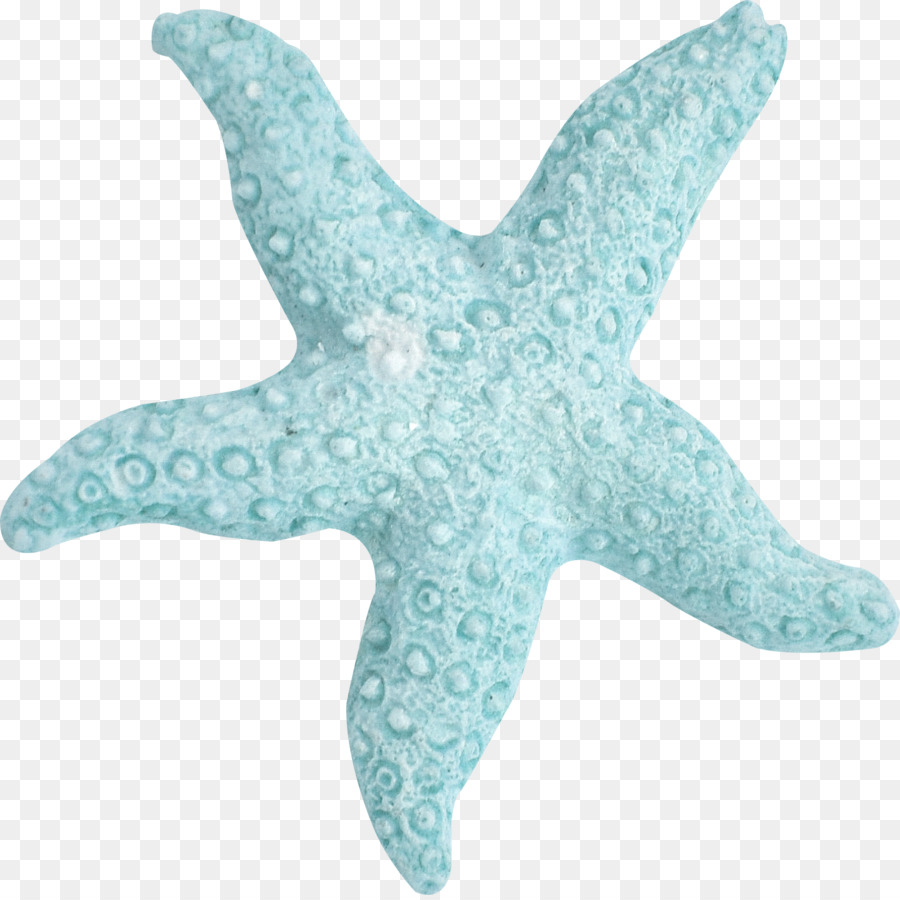 Синяя морская звезда