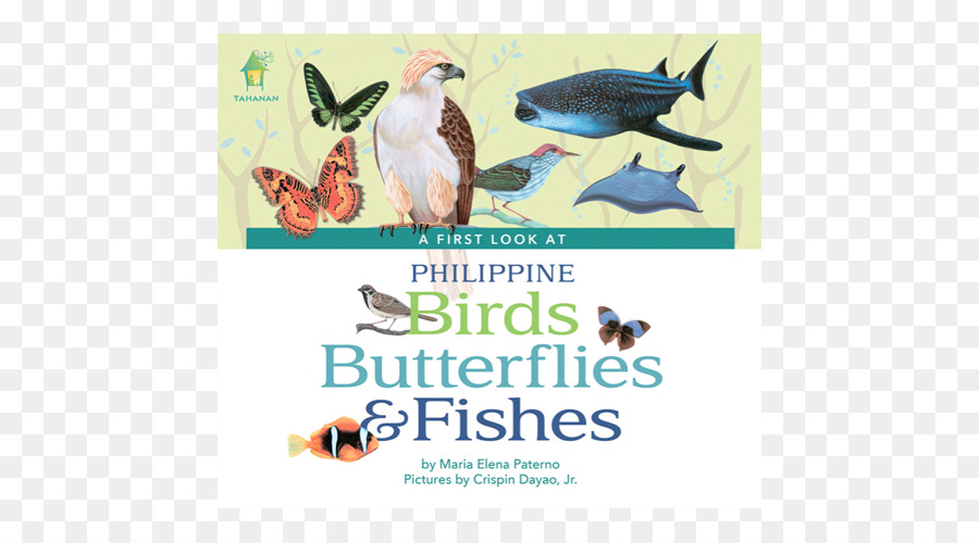 первый взгляд на филиппинских фруктов，первый взгляд на филиппинских птиц PNG