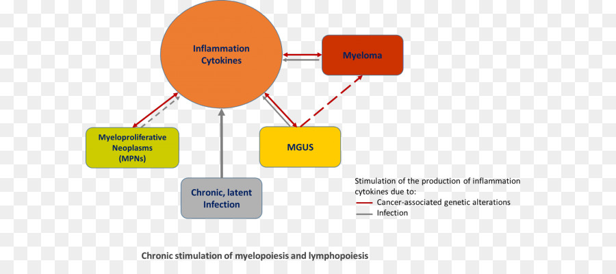 миелопролиферативные новообразования，опухоли кроветворной и лимфоидной тканей PNG