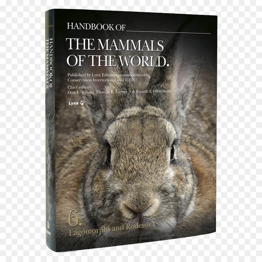 домашний кролик，справочник млекопитающих мира зайцеобразных и грызунов я PNG