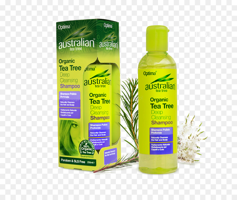 Shampoo Plant растение. Lotion sodium. Ночной лосьон Tea Tree купить.