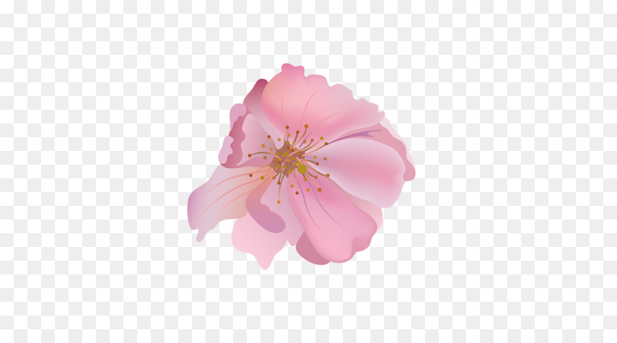 цветок，декупаж PNG
