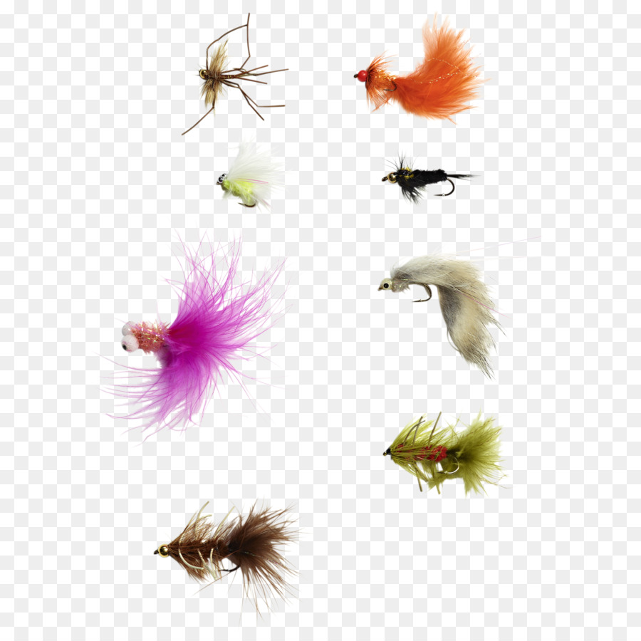 насекомое，крыло PNG
