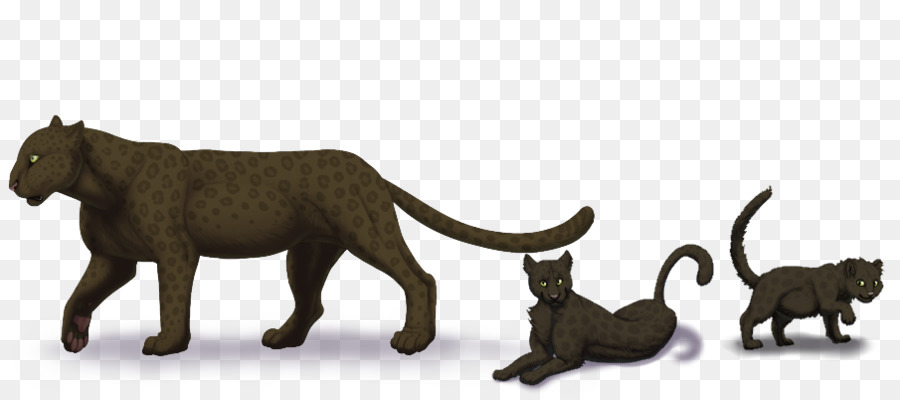 кошка，наземных животных PNG