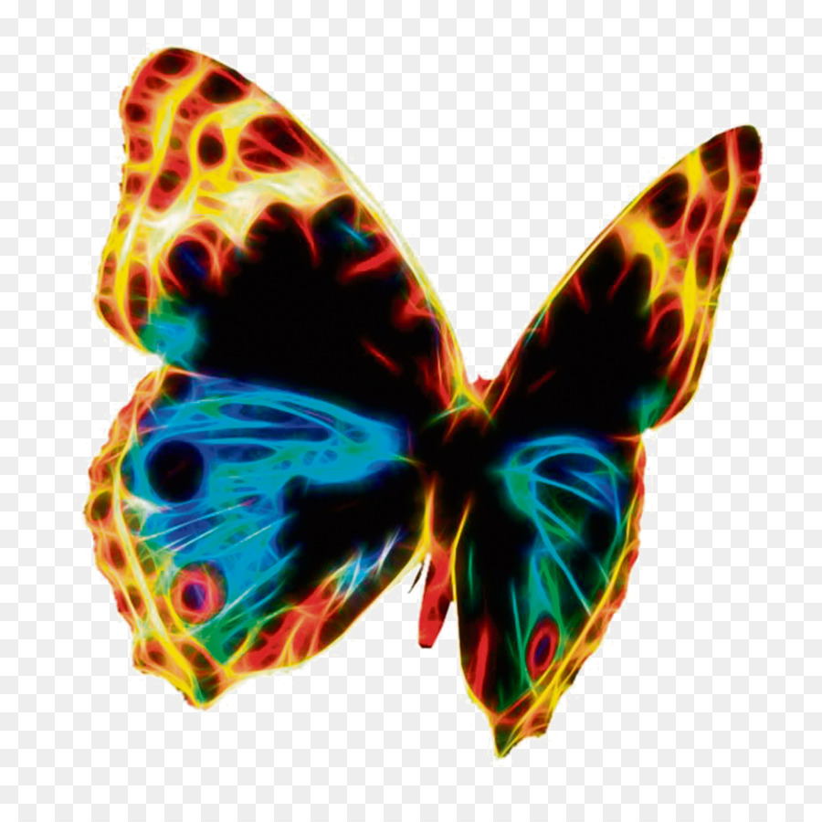 бабочка，общественное достояние PNG