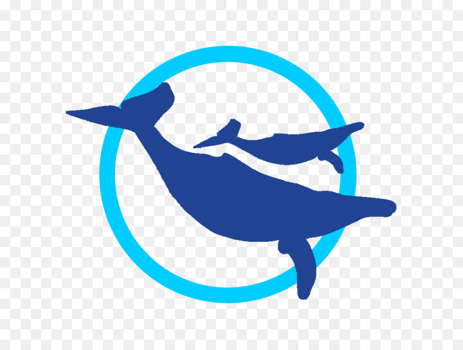 наблюдение за китами Кабо，Дельфин PNG