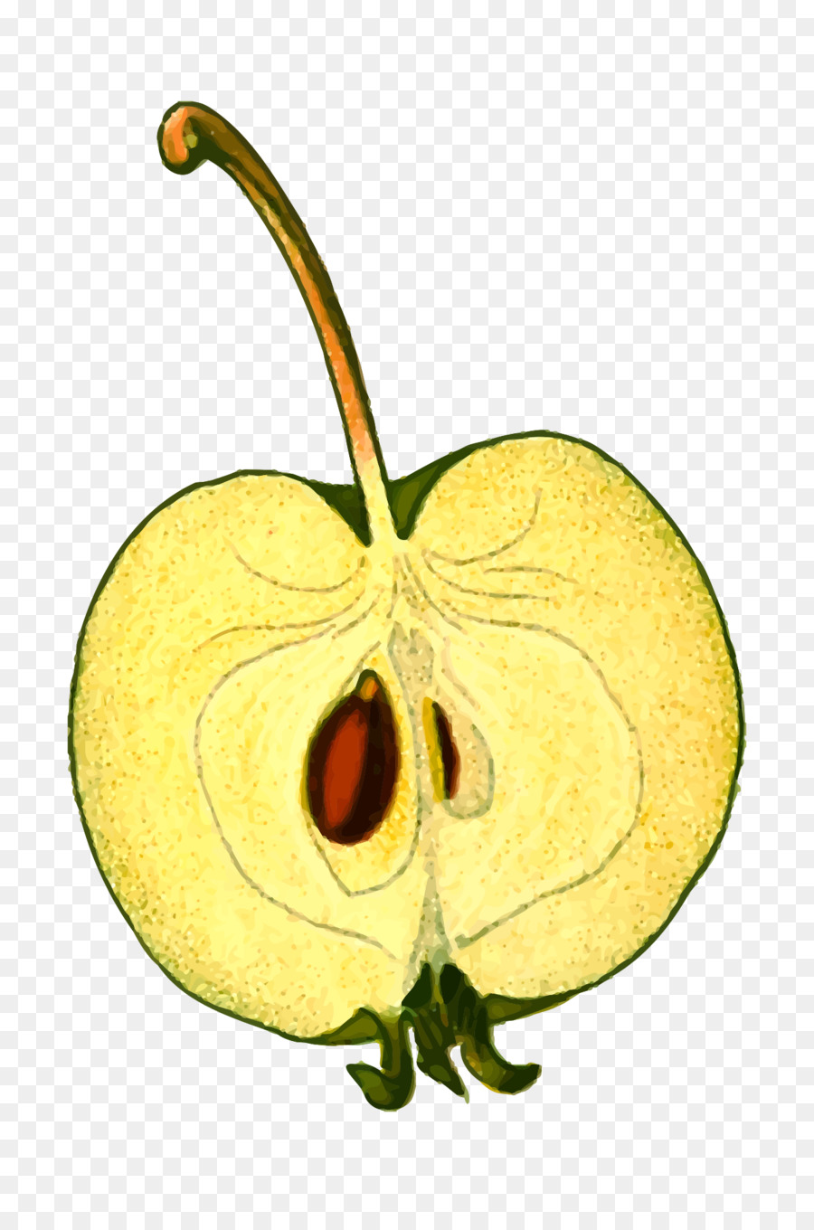 яблоко，пульт ДУ Apple PNG