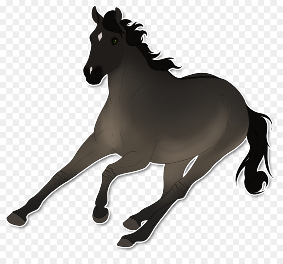 Mustang，Foal PNG