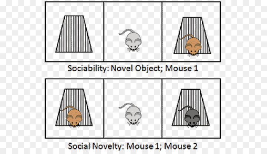 мышь，социальные PNG