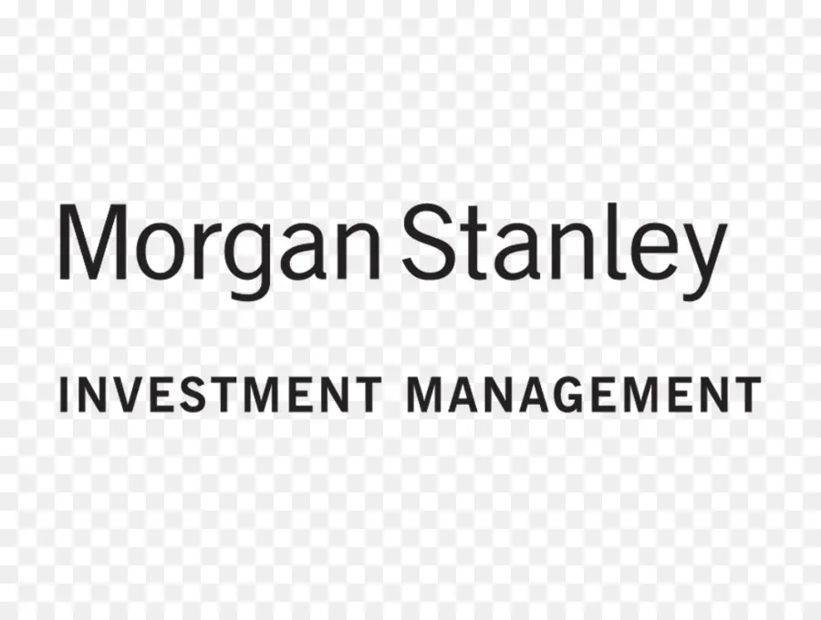 Морган Стэнли，бизнес PNG