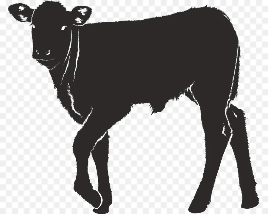 молочный скот，теленок PNG