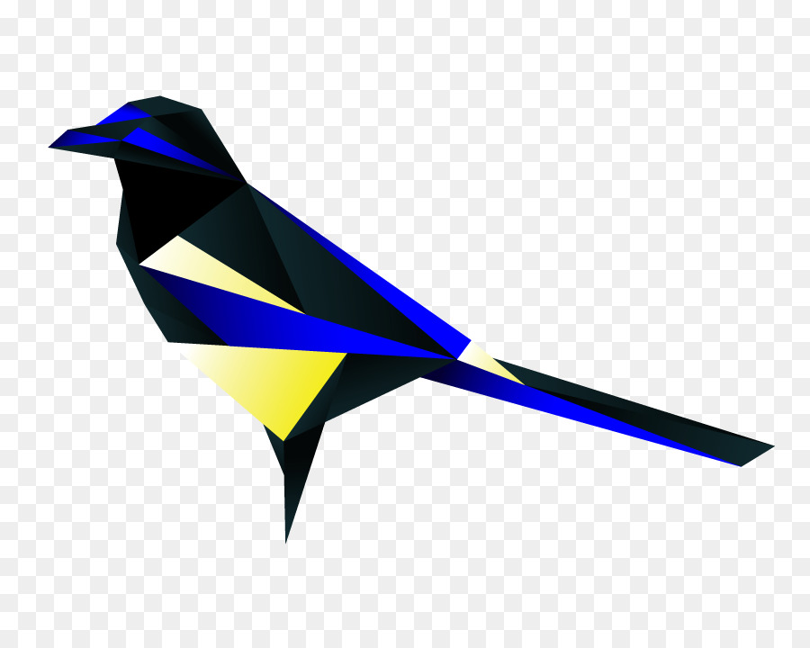 птица，австралийские сороки PNG