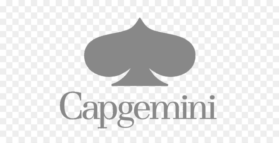 компания Capgemini，управление PNG