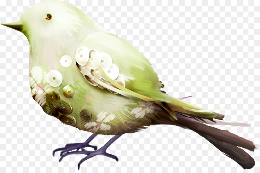 птица，проплаченная PNG