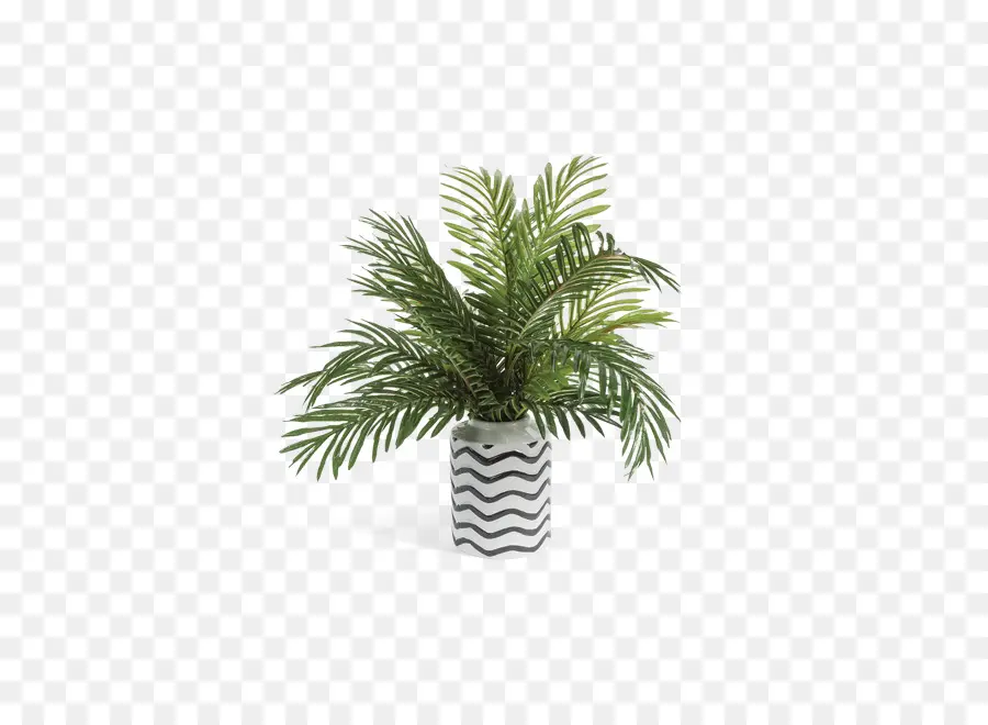 финиковая Пальма，ваза PNG