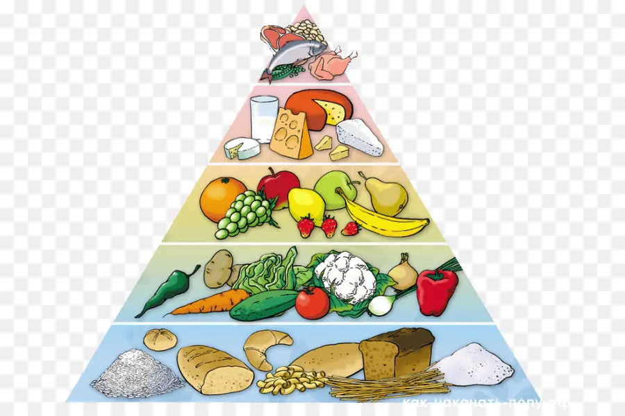 пищевая пирамида，здоровья PNG