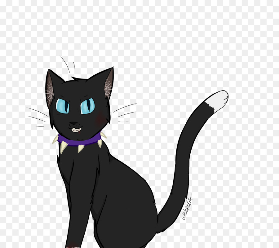 котенок，черный кот PNG