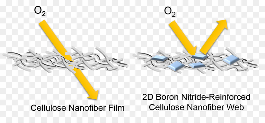 нитрид бора Nanosheet，нановолокно PNG