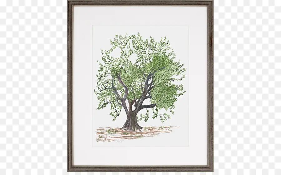 живопись，оливковые деревья PNG