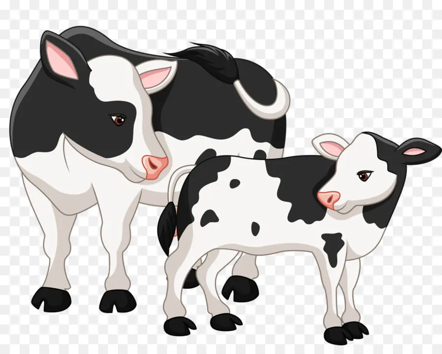 теленок，Ангус крупного рогатого скота PNG